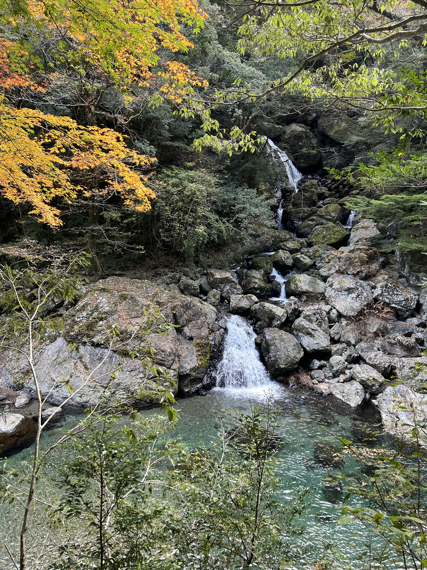 関西の秘境大杉谷 ①